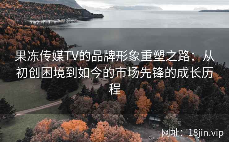 果冻传媒TV的品牌形象重塑之路：从初创困境到如今的市场先锋的成长历程