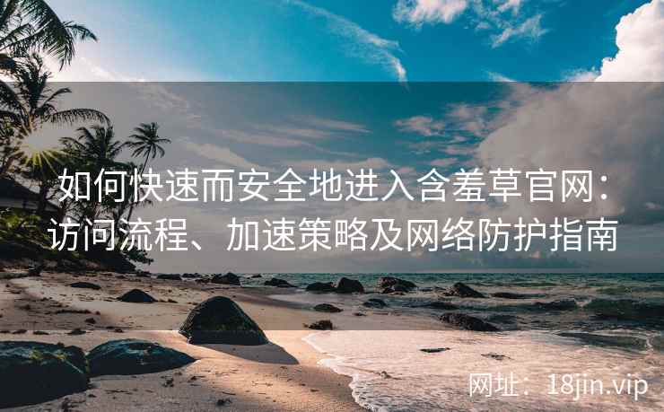如何快速而安全地进入含羞草官网：访问流程、加速策略及网络防护指南