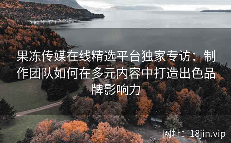 果冻传媒在线精选平台独家专访：制作团队如何在多元内容中打造出色品牌影响力